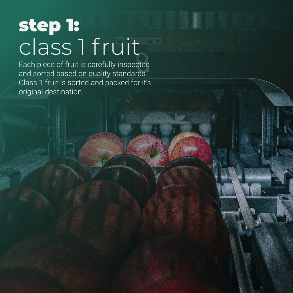 Efficient fruit and vegetable sorting: Step 1