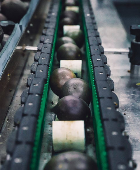 flowpacking passionfruits