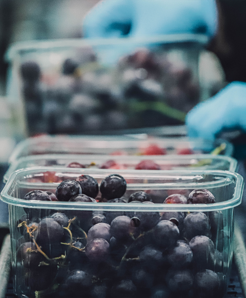 Grapes in a punnet getting ready for a topseal