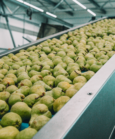 Pears on a machine