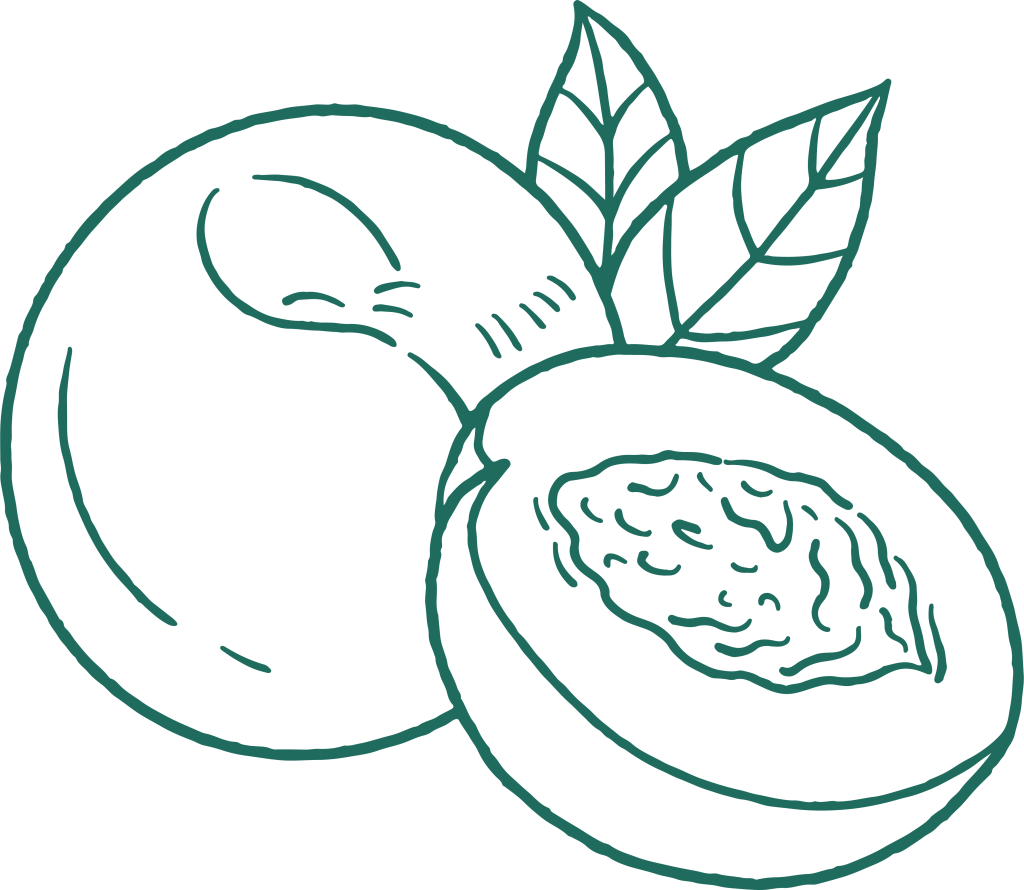 an illustration of a nectarine