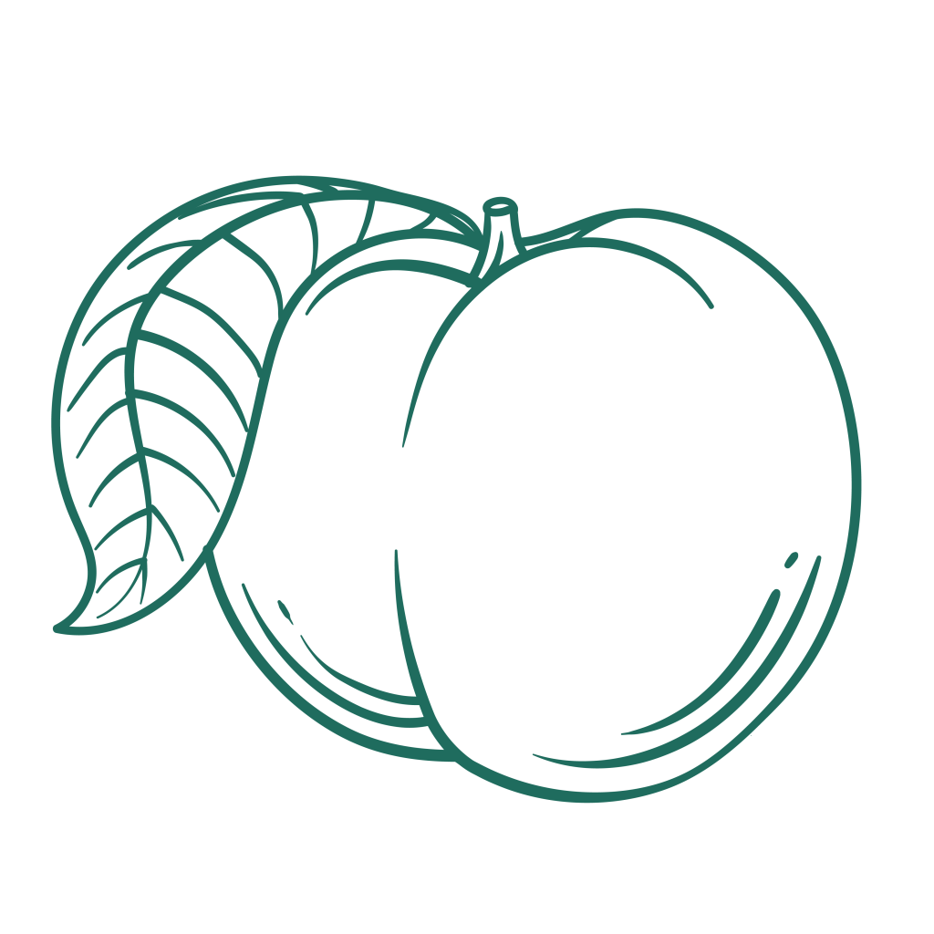 an illustration of a apricot