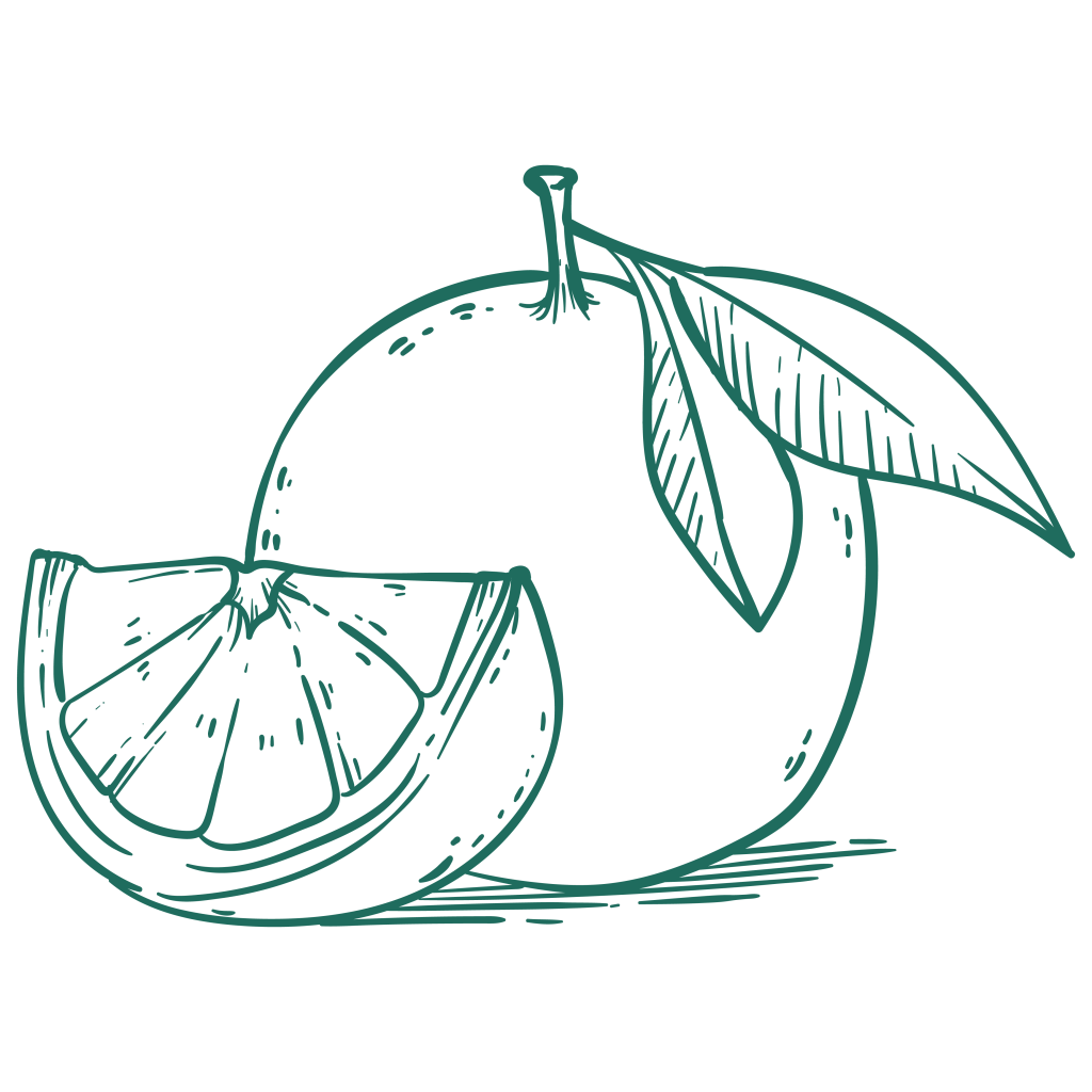 An illustration of a lime