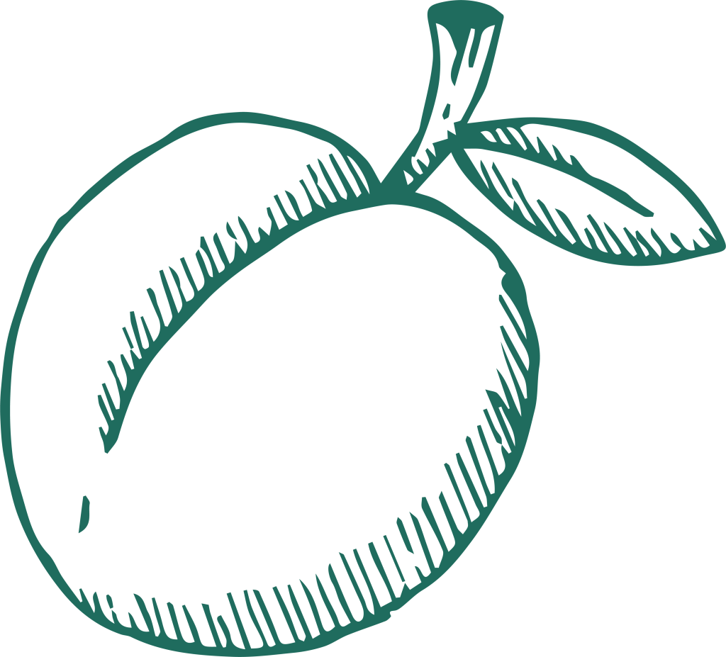 an illustration of a peach