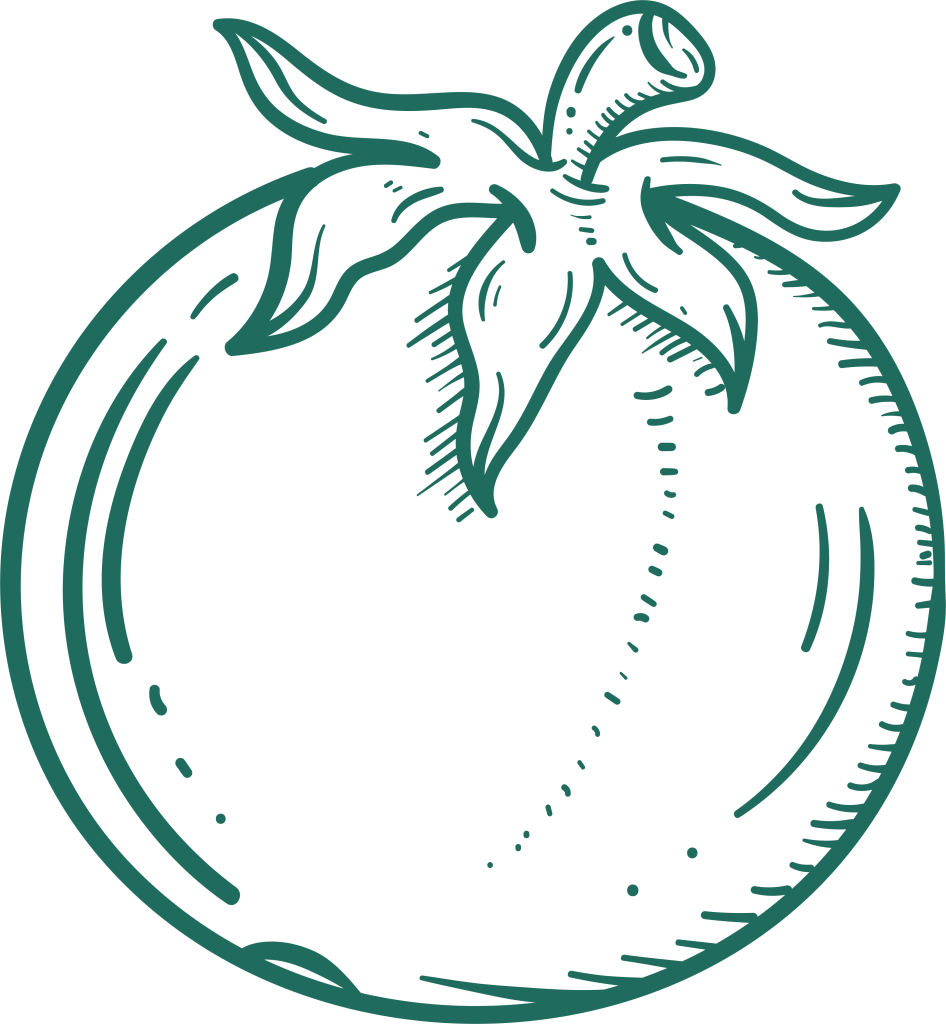 an illustration of a tomato