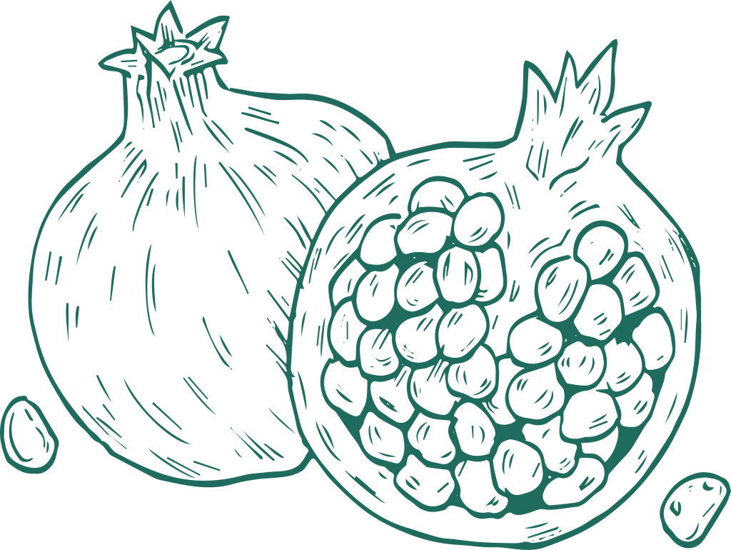 an ilustration of a pomegranate