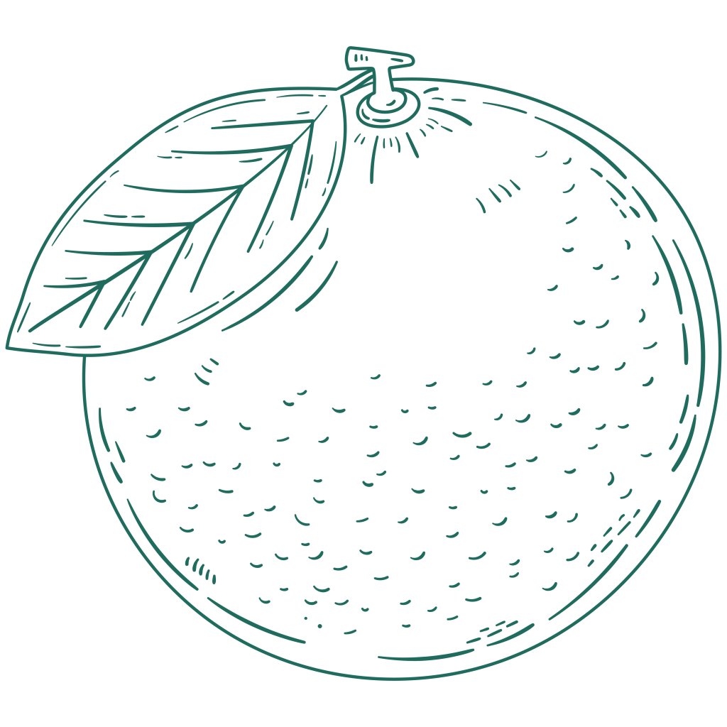 an illustration of a pomelo