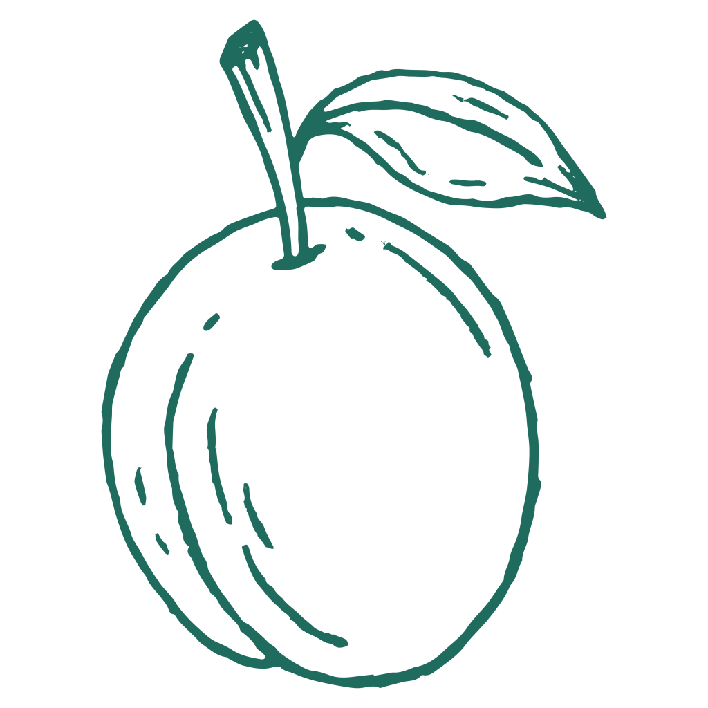 An illustration of a plum