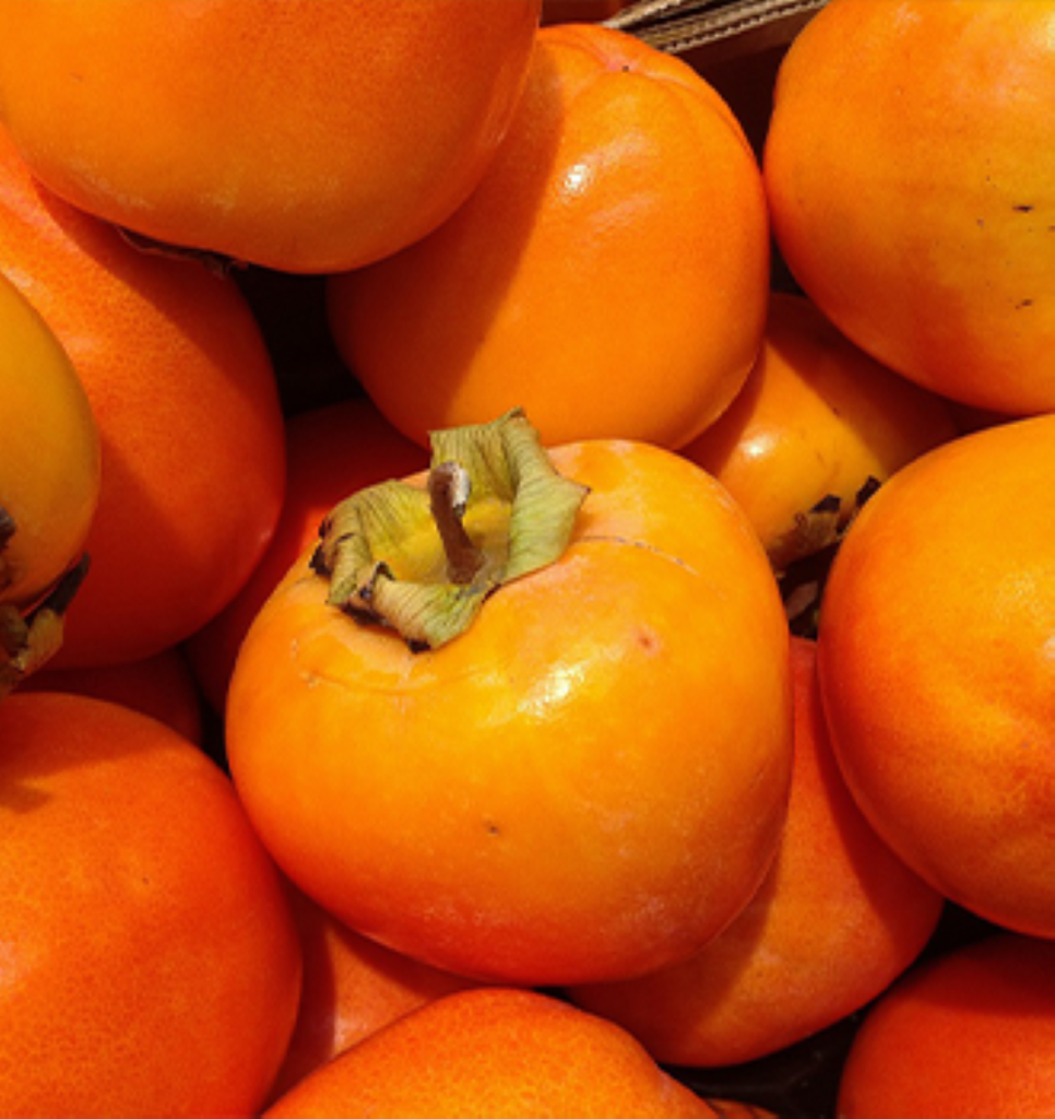 a batch of persimmons