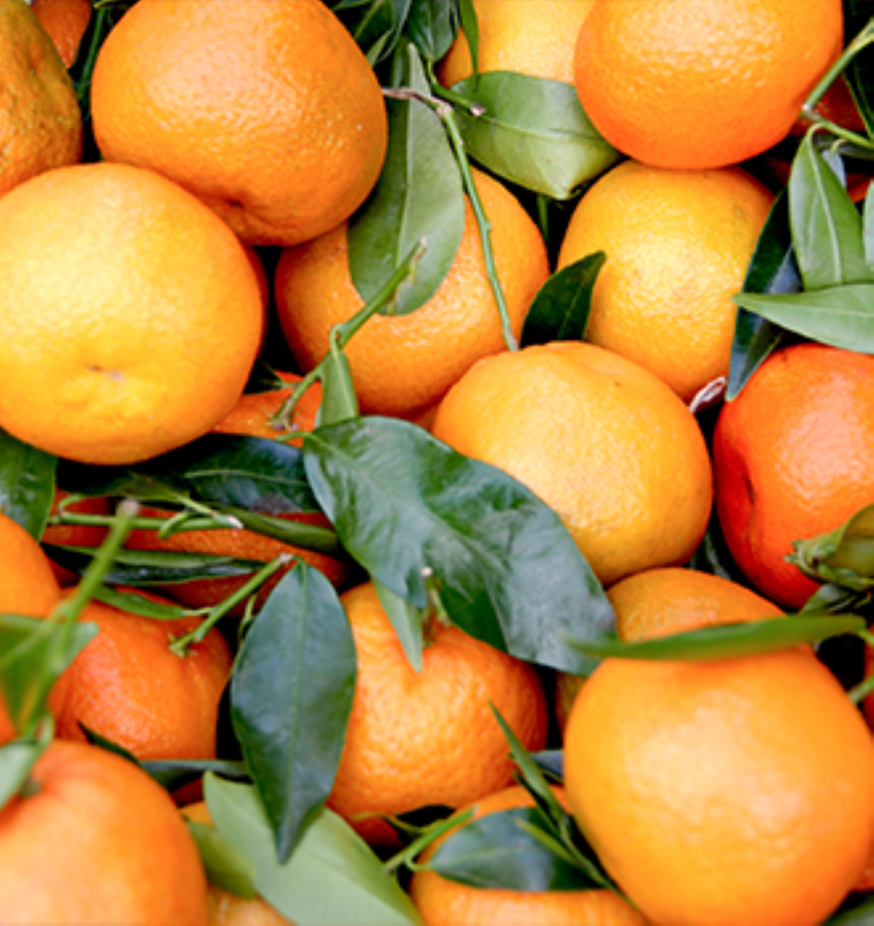 fresh mandarins with leaves