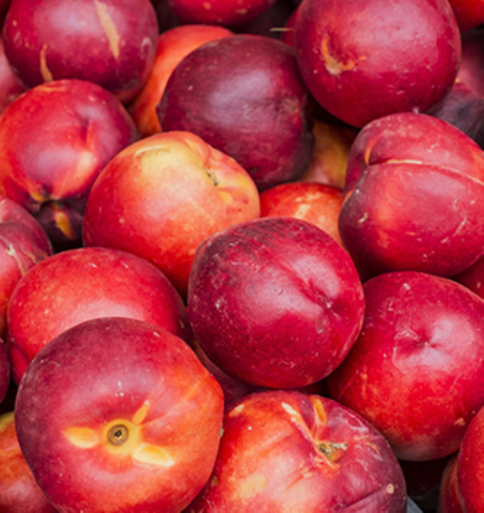 A large batch of fresh nectarine
