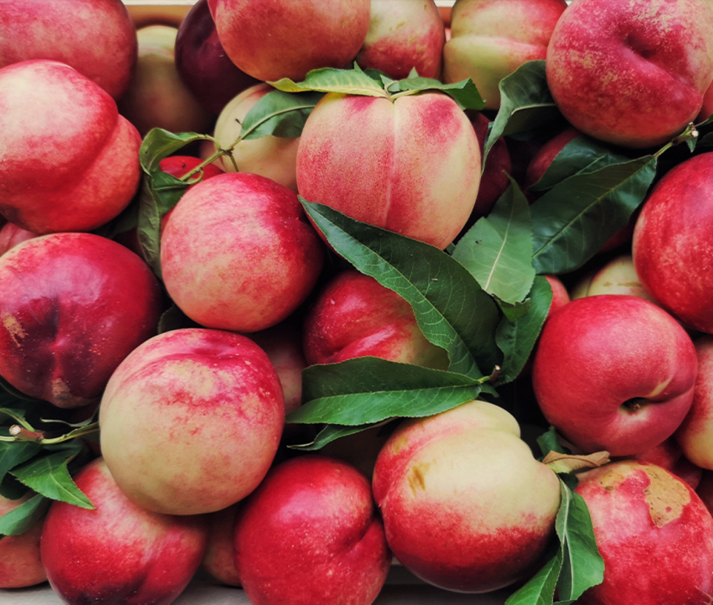 Fresh nectarines with leaves