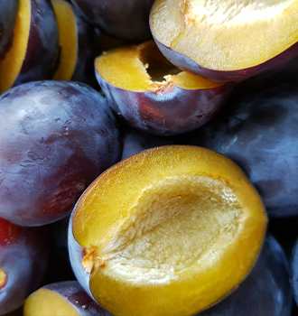 Fresh plums cut in pieces