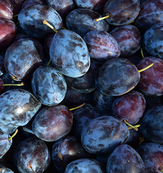 Fresh plums all together