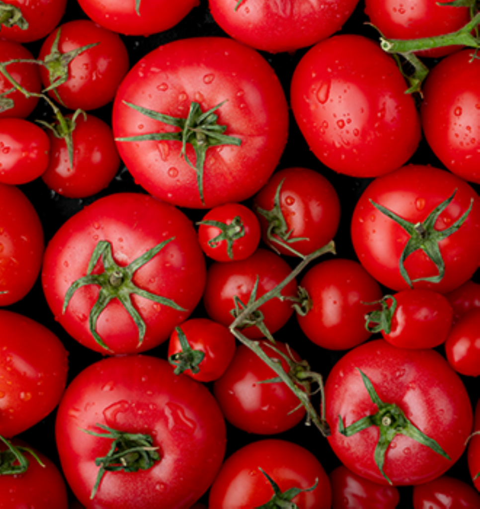 Different sizes of tomatoes