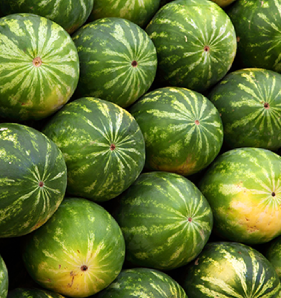 watermelons together